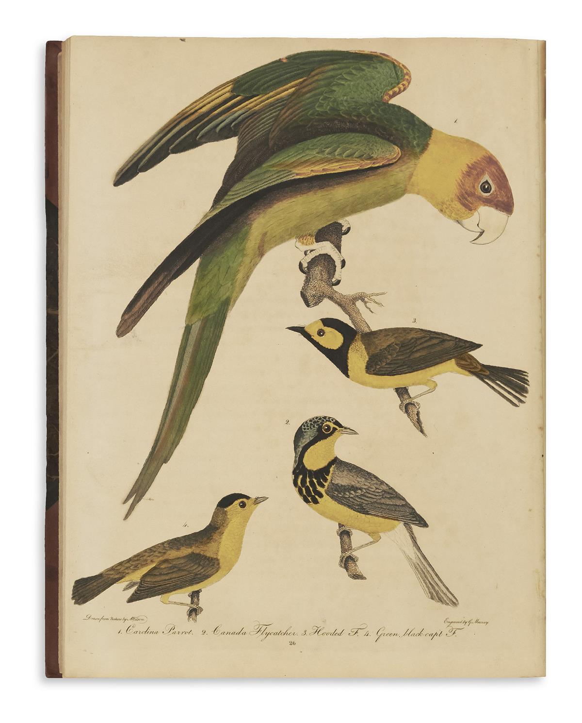 WILSON, ALEXANDER. American Ornithology; or the Natural History of the Birds of the United States.